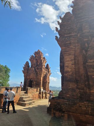 최동수님의 기타작물 · 영농일지 작성글 사진