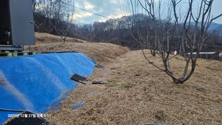 장정규님의 복숭아 · 영농일지 작성글 사진