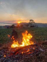 팜모닝 기타작물·영농일지 게시글 이미지