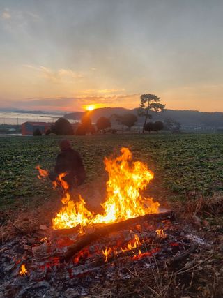 김성환님의 기타작물 · 영농일지 작성글 사진