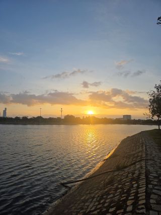 최동수님의 기타작물 · 영농일지 작성글 사진