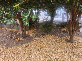 도깨비윤샘 님의 기타작물 · 영농일지 작성글 사진