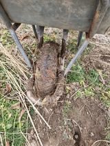 팜모닝 복숭아·영농일지 게시글 이미지