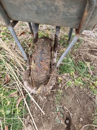 논산푸른팜님의 복숭아 · 영농일지 작성글 사진