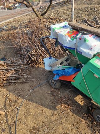 김용대님의 감 · 영농일지 작성글 사진