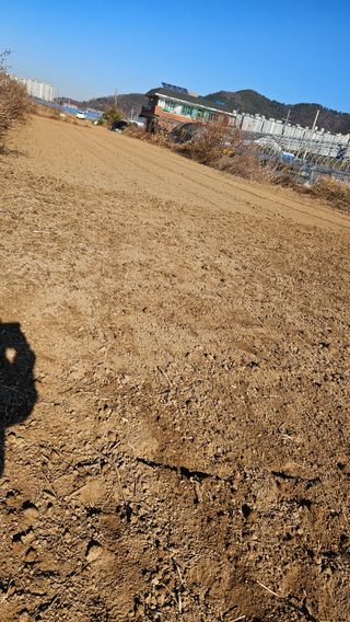 능수아님의 기타작물 · 영농일지 작성글 사진