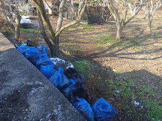 박영애님의 감 · 영농일지 작성글 사진