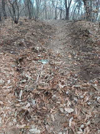 전원수님의 기타작물 · 영농일지 작성글 사진