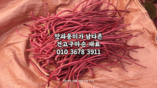 이동훈님의 고구마 · 영농일지 작성글 사진