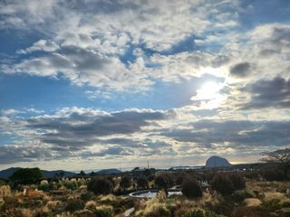 k5688님의 기타작물 · 영농일지 작성글 사진