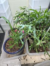 소병찬님의 작성글 사진