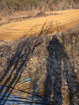 김영옥님의 기타작물 · 영농일지 작성글 사진