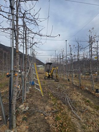 홍1237님의 사과 · 영농일지 작성글 사진