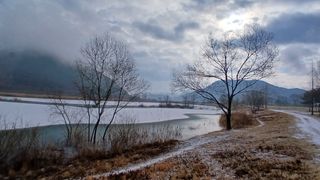 이상철님의 기타작물 · 영농일지 작성글 사진