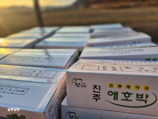 늘햇살팜 님의 기타작물 · 영농일지 작성글 사진