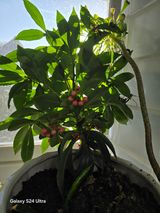 소병찬님의 작성글 사진