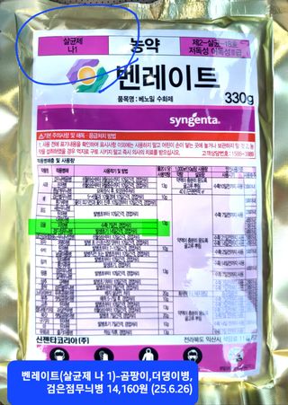 kia1588님의 귤 · 영농일지 작성글 사진