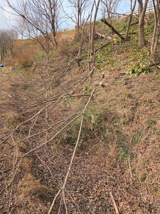 백현호님의 벼 · 영농일지 작성글 사진