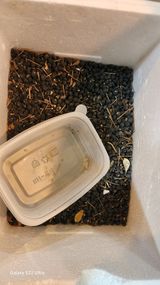 팜모닝 콩·영농일지 게시글 이미지