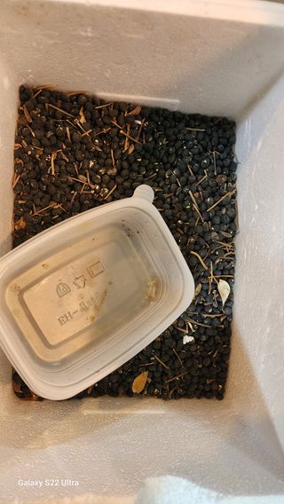 28 268 HQ님의 콩 · 영농일지 작성글 사진