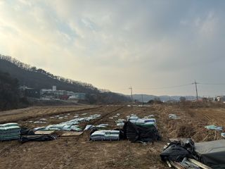 백용구님의 두릅 · 영농일지 작성글 사진