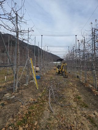 홍1237님의 사과 · 영농일지 작성글 사진