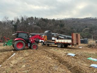 백용구님의 두릅 · 영농일지 작성글 사진