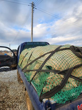 김저팔계님의 파 · 영농일지 작성글 사진