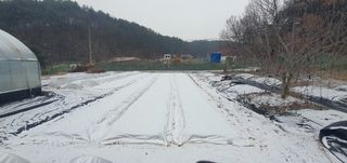 박상중님의 기타작물 · 영농일지 작성글 사진