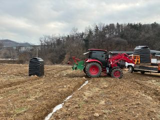 백용구님의 두릅 · 영농일지 작성글 사진