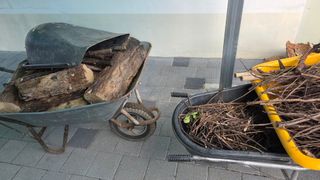 가야산아래촌농님의 기타작물 · 영농일지 작성글 사진