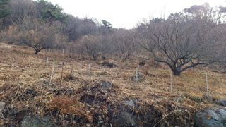 이순기님의 작성글 사진