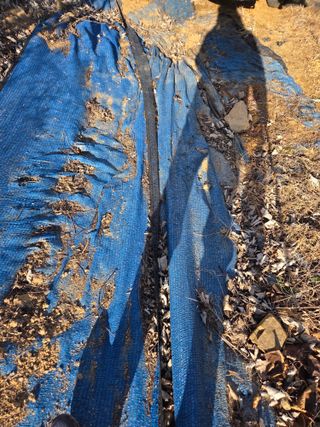 김영옥님의 기타작물 · 영농일지 작성글 사진