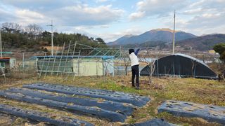 가야산아래촌농님의 기타작물 · 영농일지 작성글 사진