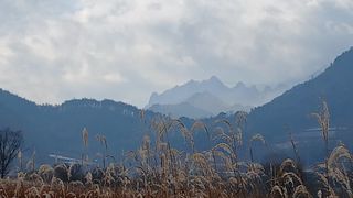 이상철님의 기타작물 · 영농일지 작성글 사진