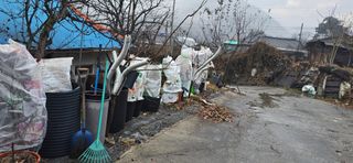 김병섭님의 기타작물 · 영농일지 작성글 사진