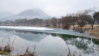 이상철님의 기타작물 · 영농일지 작성글 사진