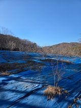 팜모닝 기타작물·영농일지 게시글 이미지