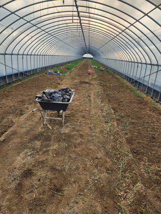 김저팔계님의 파 · 영농일지 작성글 사진