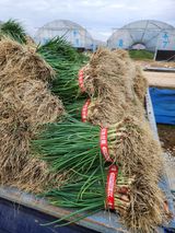 김저팔계님의 작성글 사진