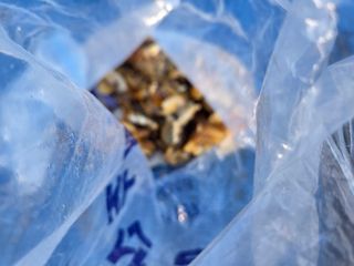 김영옥님의 기타작물 · 영농일지 작성글 사진