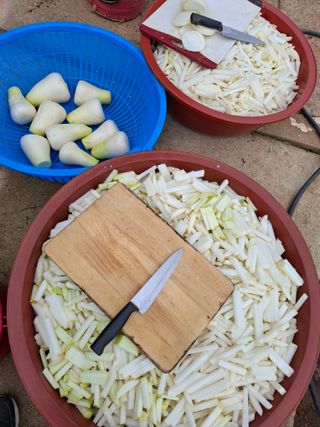 결단이님의 기타작물 · 영농일지 작성글 사진