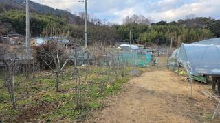 가야산아래촌농님의 기타작물 · 영농일지 작성글 사진