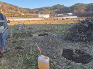 최진일님의 감 · 영농일지 작성글 사진