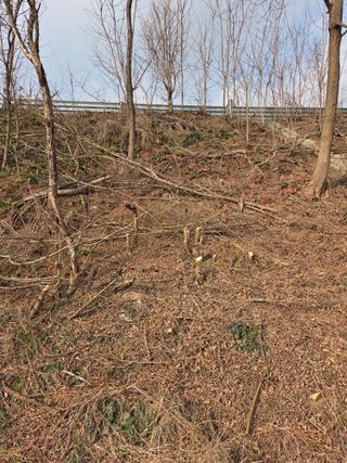 백현호님의 벼 · 영농일지 작성글 사진