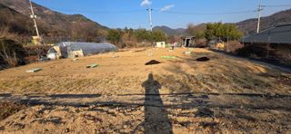 김금옥님의 기타작물 · 영농일지 작성글 사진