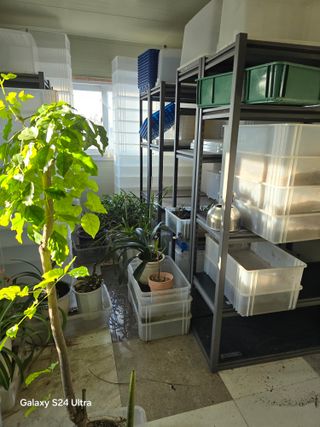 소병찬님의 호박 · 영농일지 작성글 사진