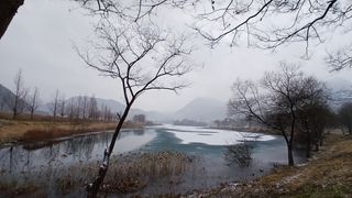 이상철님의 기타작물 · 영농일지 작성글 사진