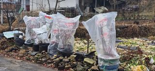 김병섭님의 기타작물 · 영농일지 작성글 사진