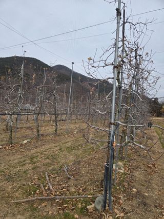 홍1237님의 사과 · 영농일지 작성글 사진